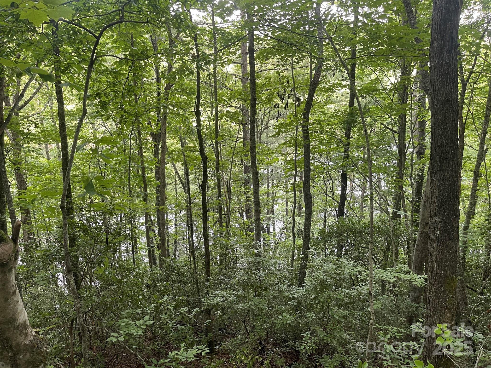 2642 Canada Road Tuckasegee, NC 28783 - Photo 6 of 9