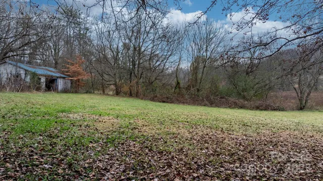 a view of a big yard with plants and large trees