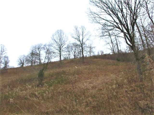 Sircy Ridge Lane Pleasant Shade, TN 37145 - Photo 1 of 1 164864_0