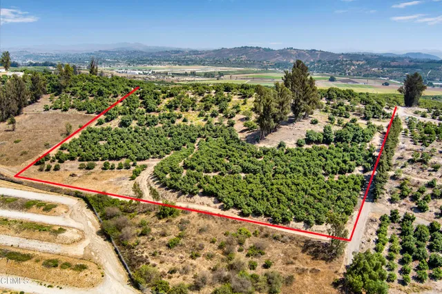 a view of house with a yard