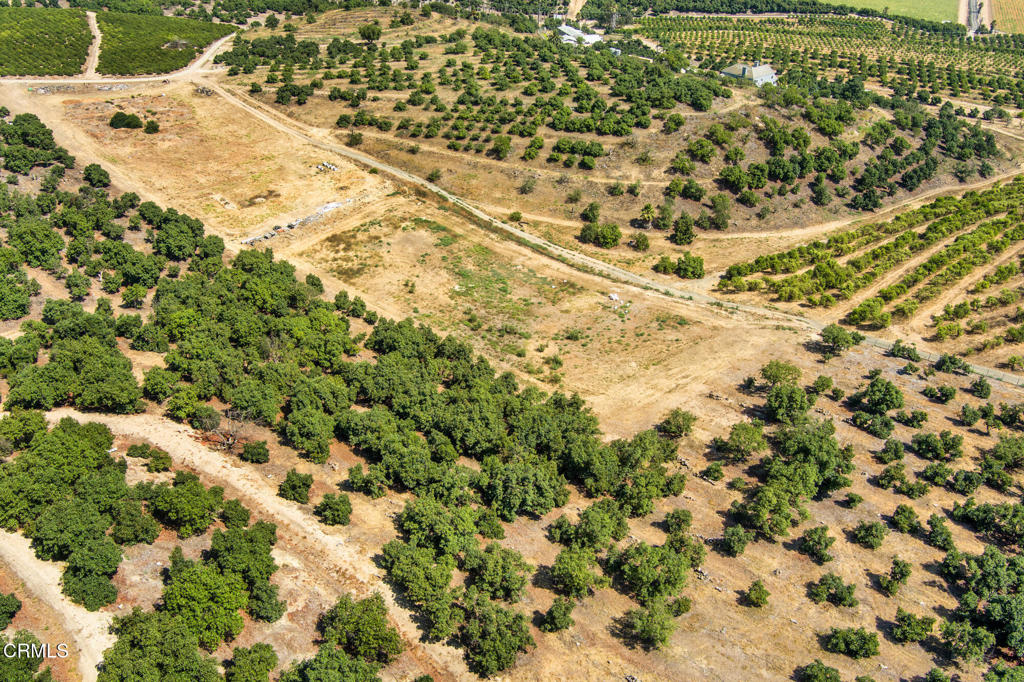 5929 Maarten Drive Moorpark, CA 93021 - Photo 11 of 14 a view of a yard with a tree