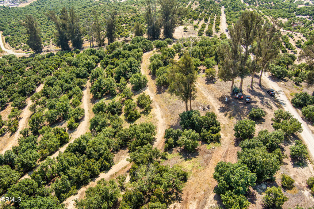 5929 Maarten Drive Moorpark, CA 93021 - Photo 12 of 14 a view of a forest with a tree