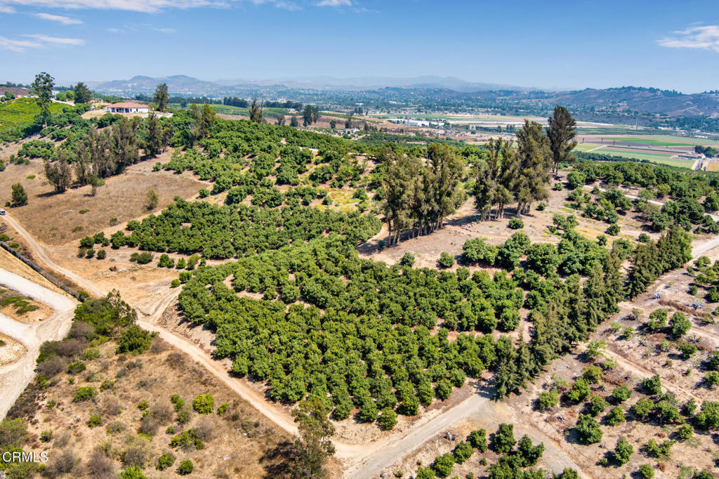 5929 Maarten Drive Moorpark, CA 93021 - Photo 6 of 14 a view of a bunch of flowers in a yard