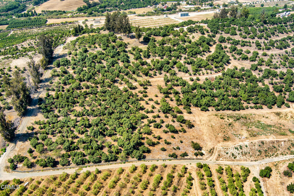 5929 Maarten Drive Moorpark, CA 93021 - Photo 10 of 14 a view of a yard