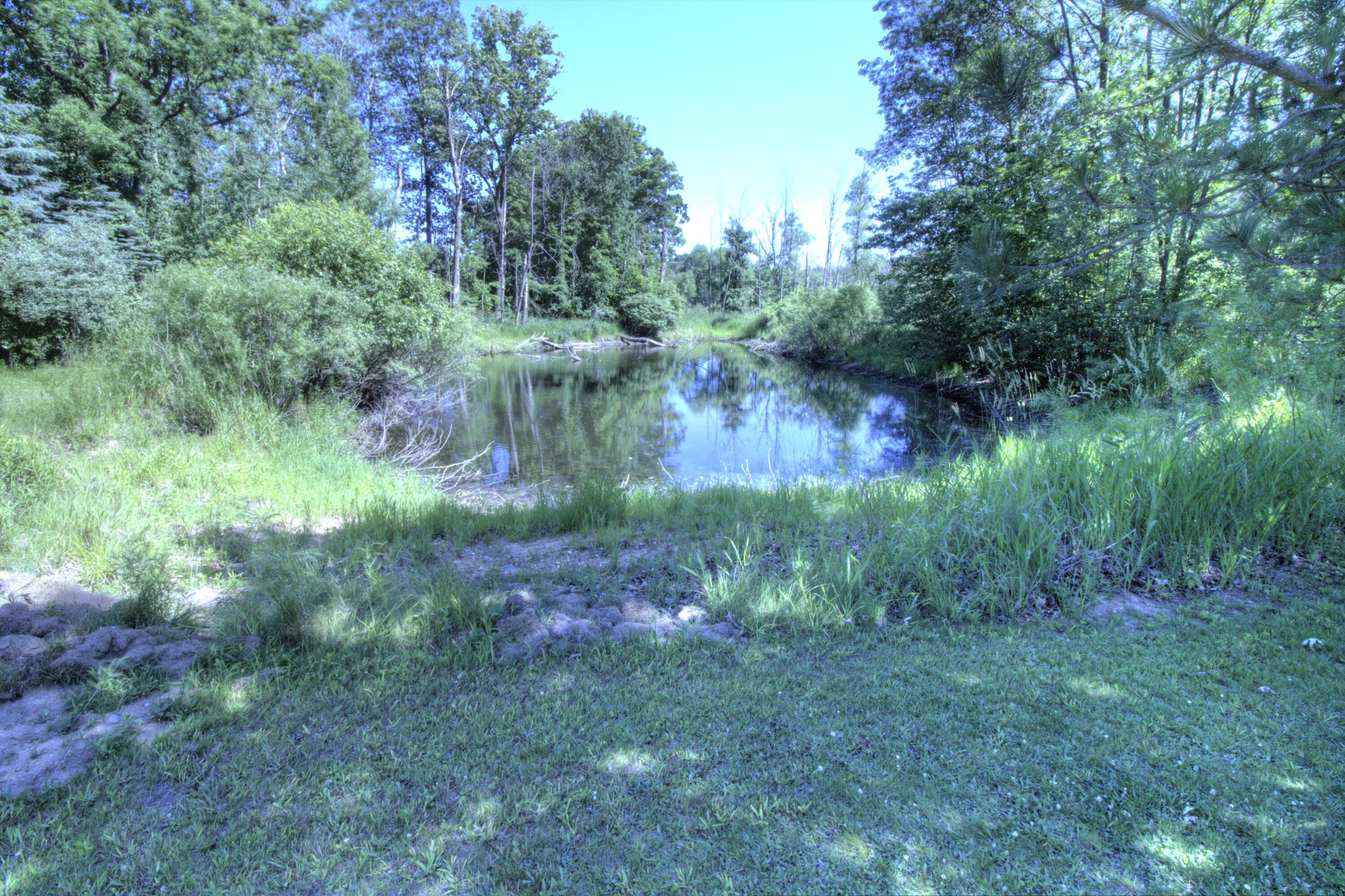 11525 West Remick Road Blanchard, MI 49310 - Photo 3 of 8 Remick pond