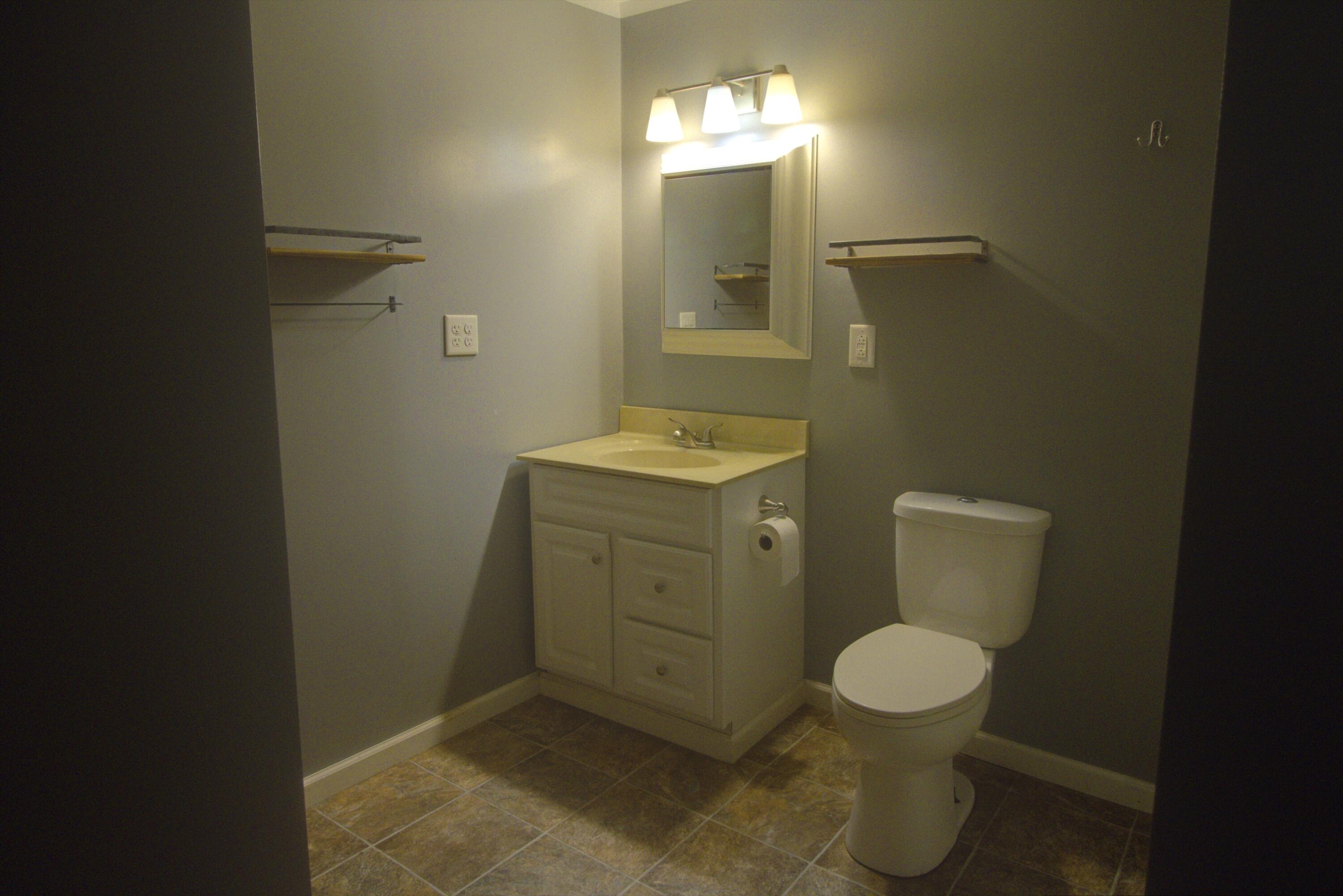 11525 West Remick Road Blanchard, MI 49310 - Photo 6 of 8 bathroom