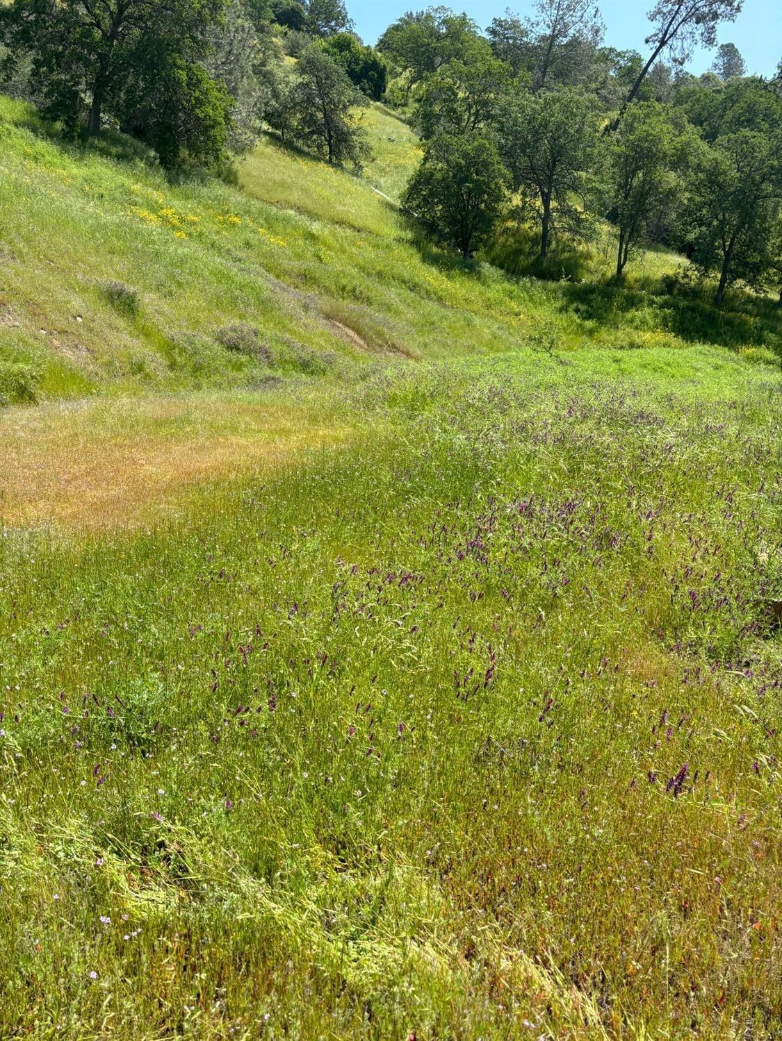 28857 Kimberly Road Tollhouse, CA 93667 - Photo 6 of 20 Gallery Image 6