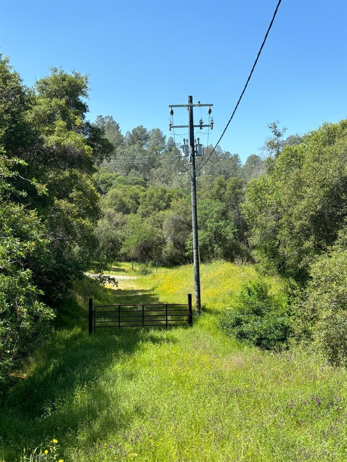28857 Kimberly Road Tollhouse, CA 93667 - Photo 8 of 20 Gallery Image 8