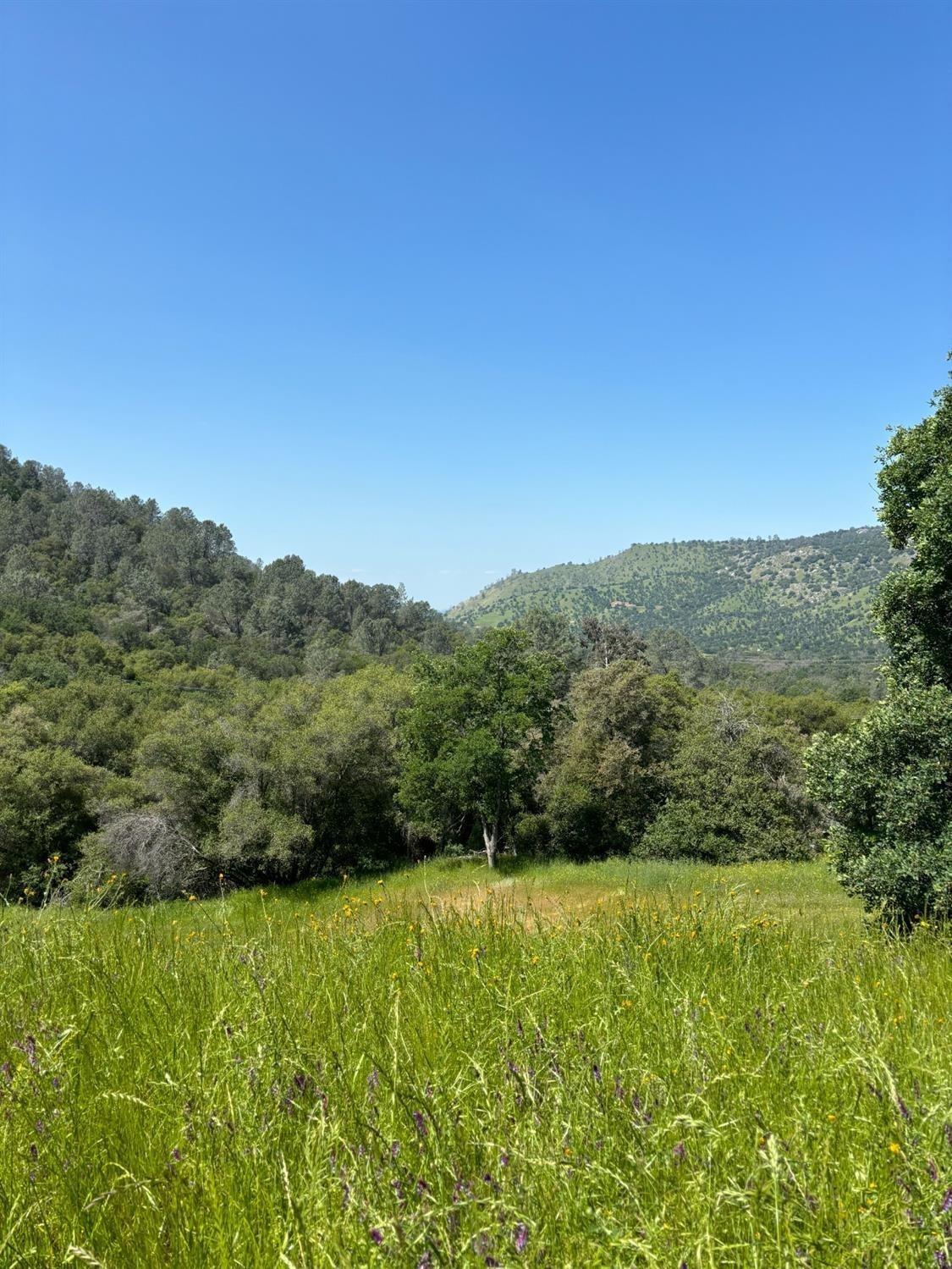 28857 Kimberly Road Tollhouse, CA 93667 - Photo 10 of 20 Gallery Image 10