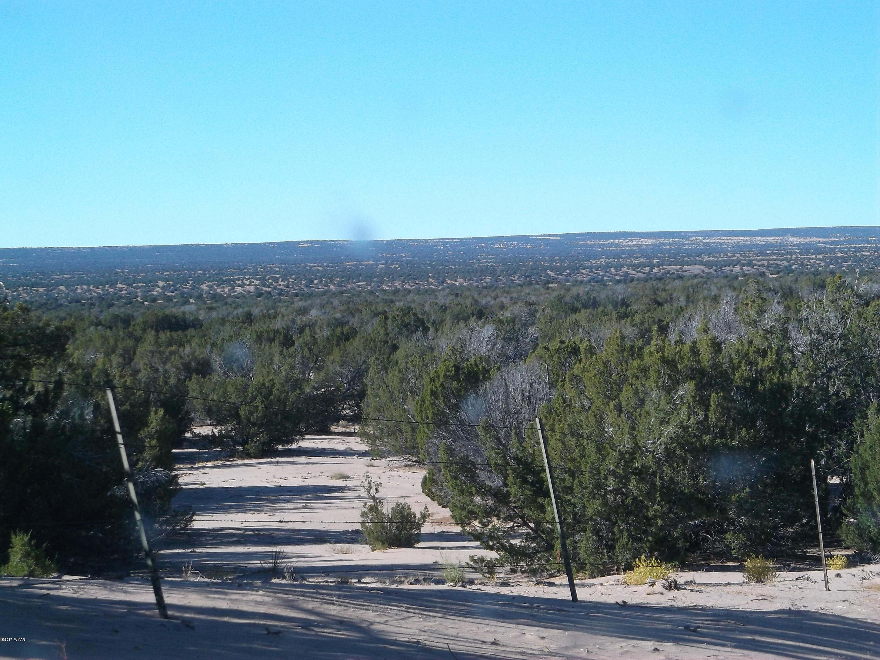 Lot 106 Witch Well Ranch, Unit 2 St. Johns, AZ 85936 - Photo 2 of 5