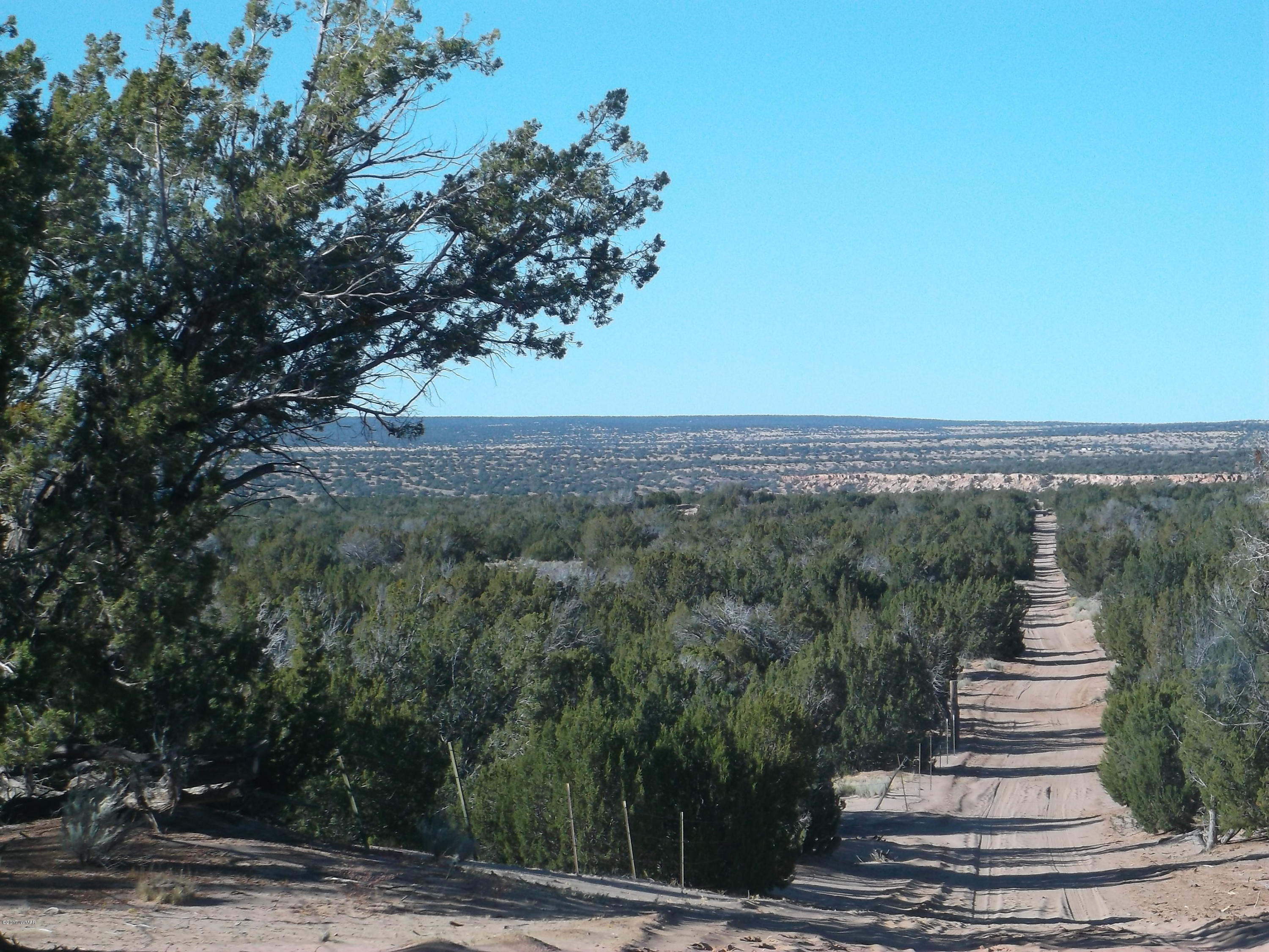 Lot 106 Witch Well Ranch, Unit 2 St. Johns, AZ 85936 - Photo 3 of 5