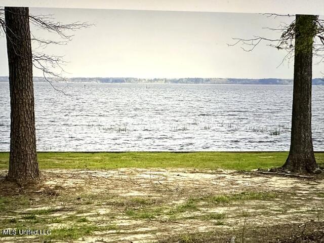 Lot 23 Neptune Shore Canton, MS 39046 - Photo 10 of 20 IMG_0711