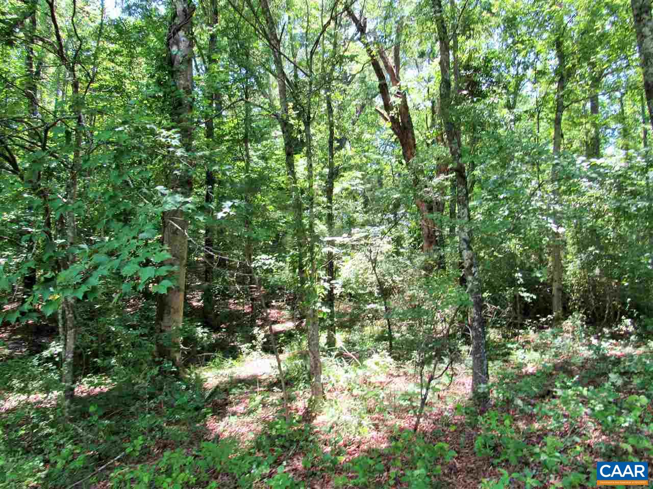 Warrick Barn Road Arrington, VA 22922 - Photo 8 of 10 a view of a lush green forest
