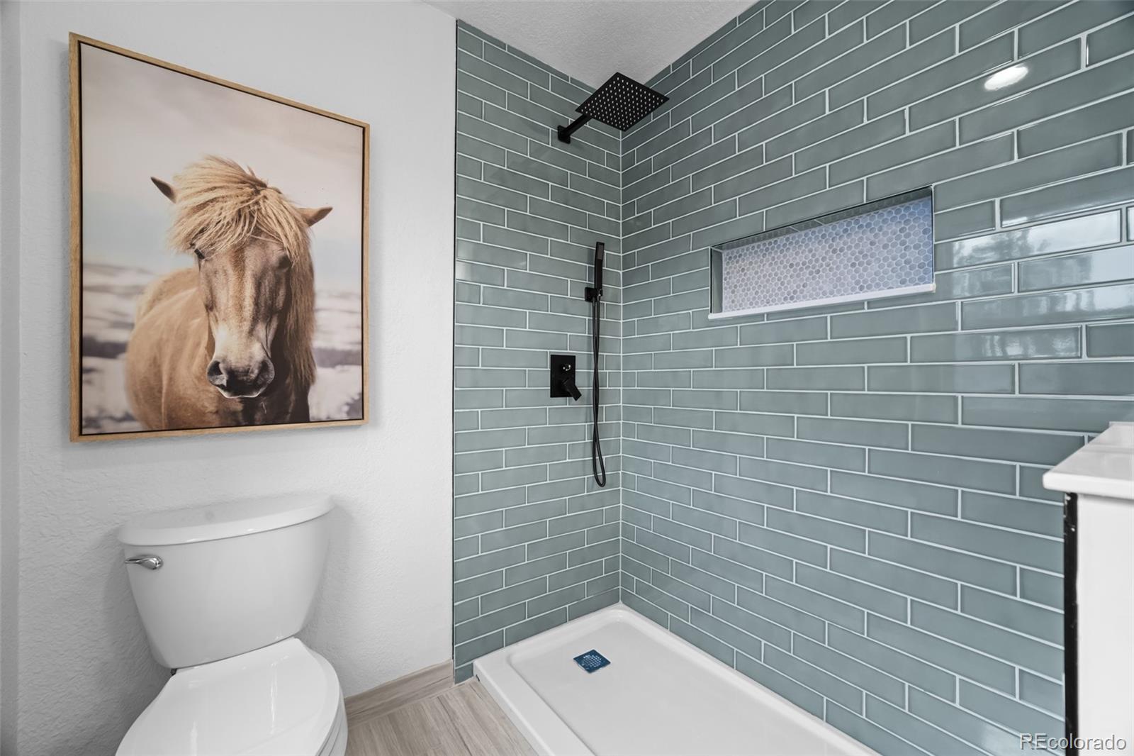 1231 Nova Road Pine, CO 80470 - Photo 16 of 48 Gallery Image 16