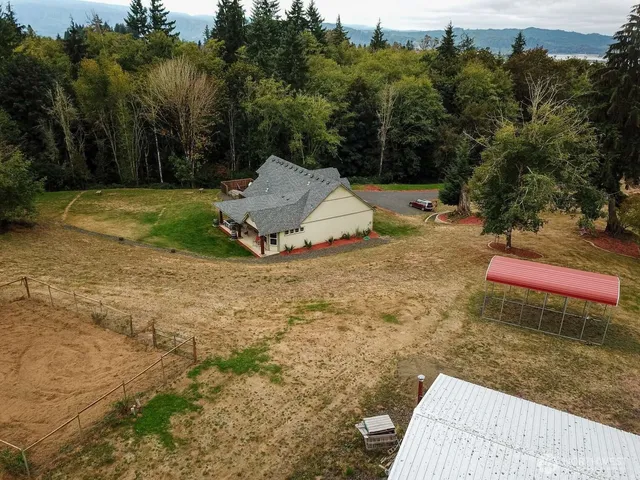 a view of a park with large trees