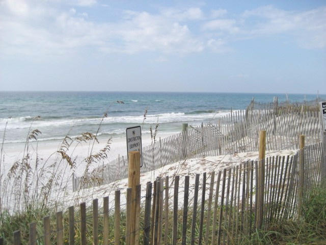 4 Santa Rosa Beach Santa Rosa Beach, FL 32459 - Photo 14 of 23 Beach photo with grass
