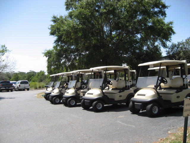 4 Santa Rosa Beach Santa Rosa Beach, FL 32459 - Photo 5 of 23 SRB Golf Carts