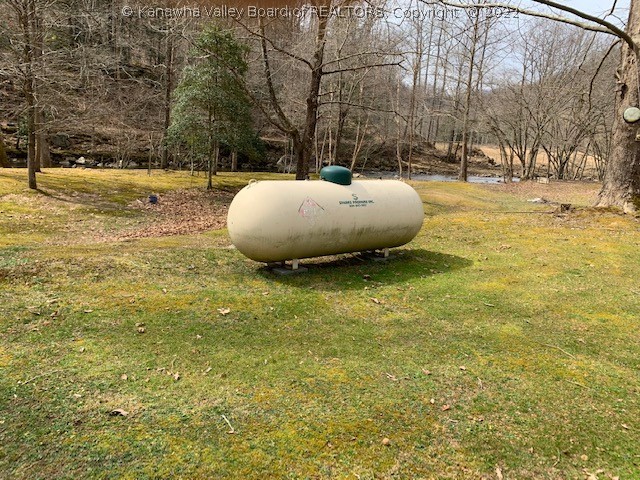 2437 Replete Road Hacker Valley, WV 26222 - Photo 16 of 21 Gallery Image 16