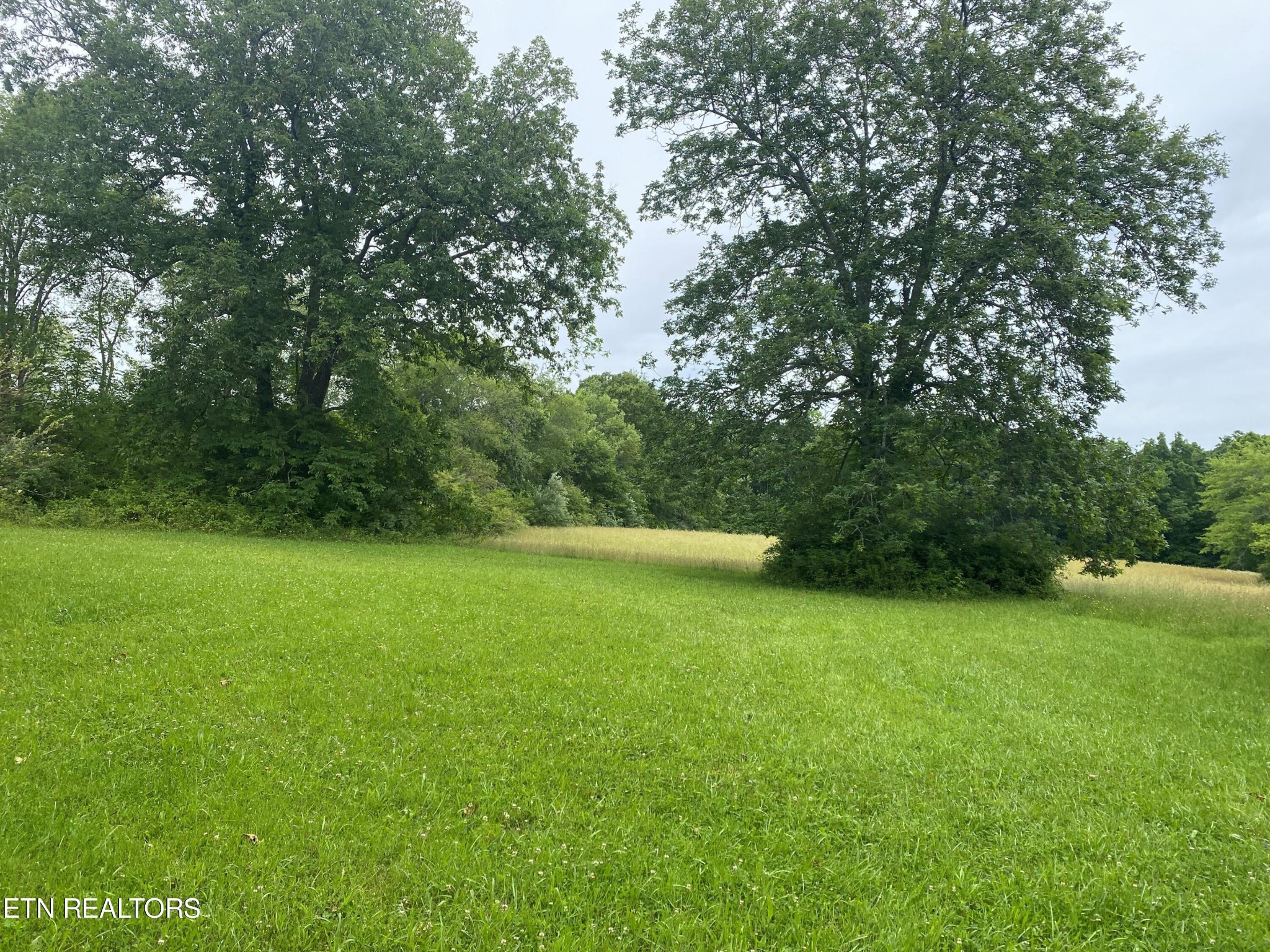 961 Deep Draw Road Crossville, TN 38555 - Photo 42 of 47 Gallery Image 42