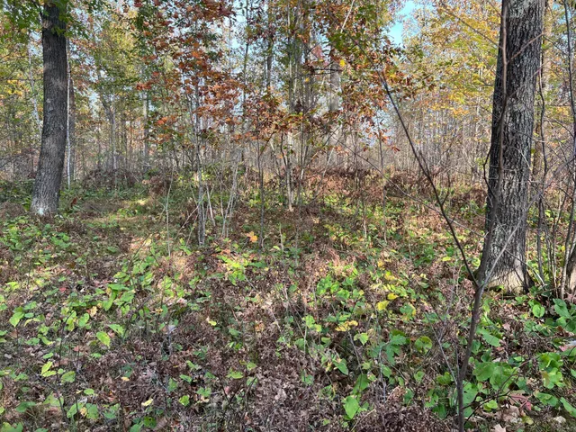 $124,900 | 73855 Markville Road, Sandstone, MN 55072