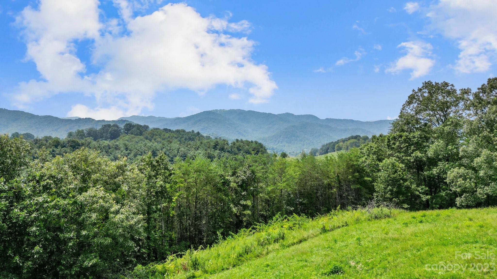 a view of a green field with lots of bushes