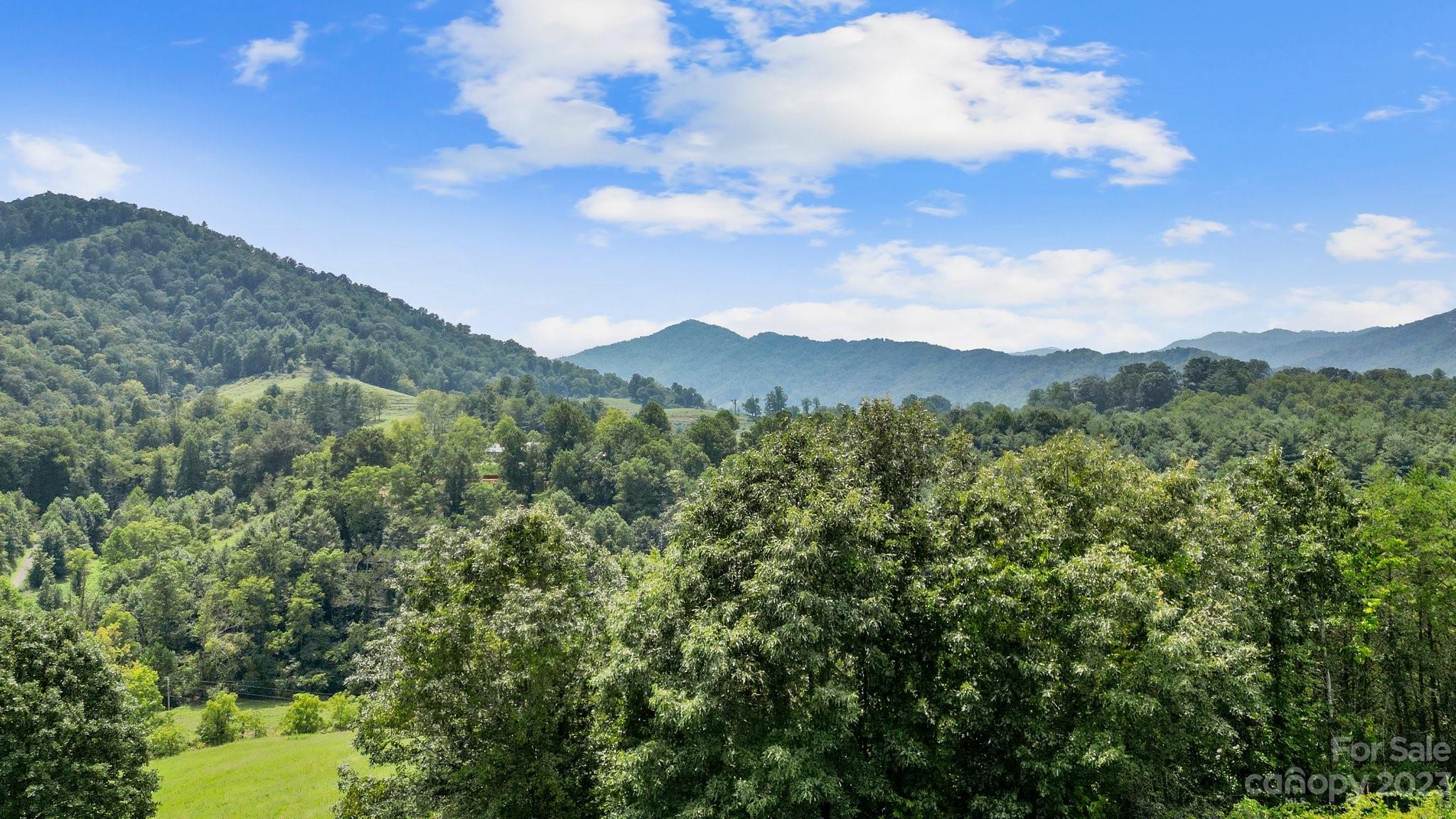 9999 Caney Frk Road Marshall, NC 28753 - Photo 11 of 42 a view of a city and a mountain
