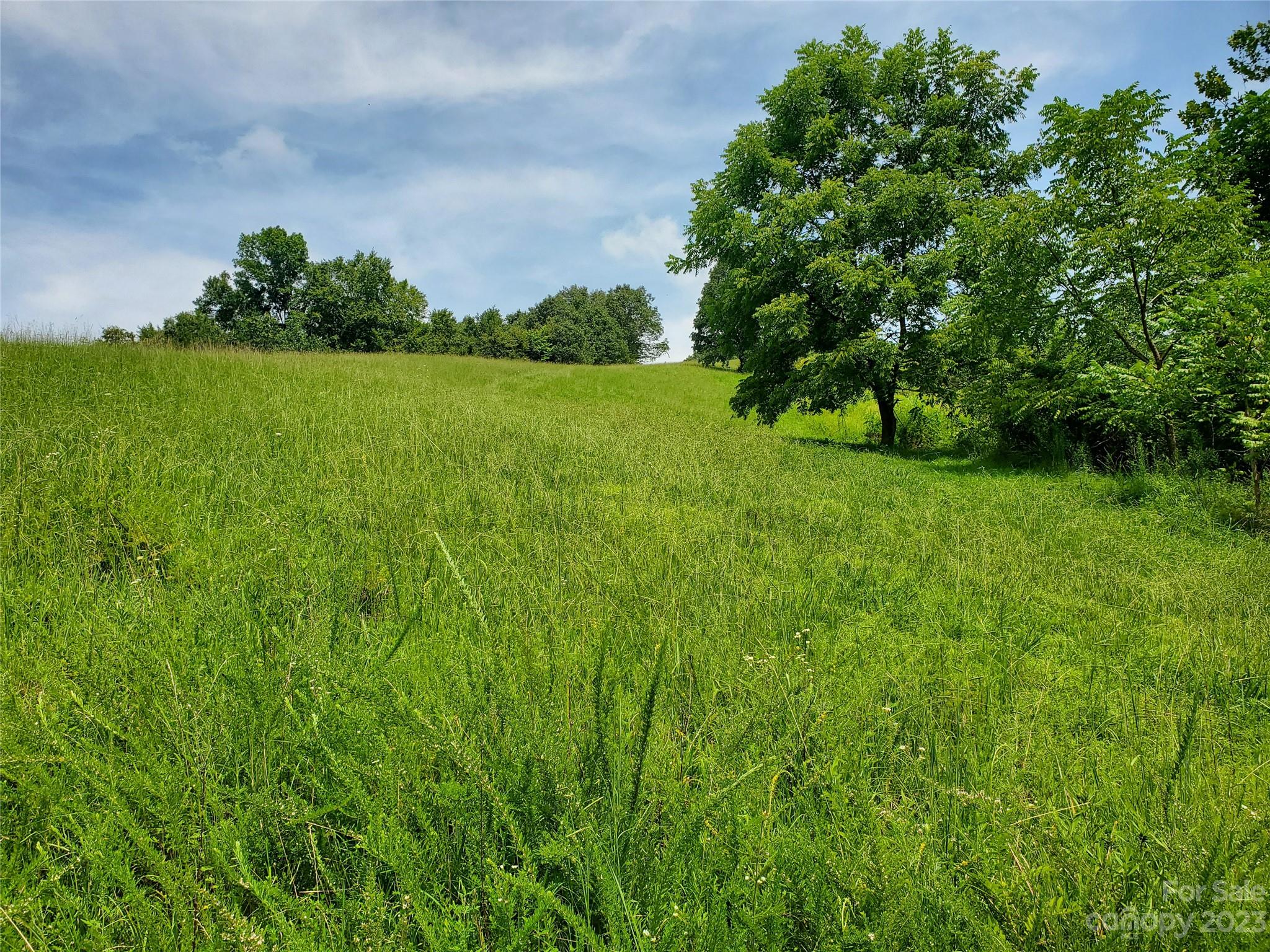 9999 Caney Frk Road Marshall, NC 28753 - Photo 13 of 42