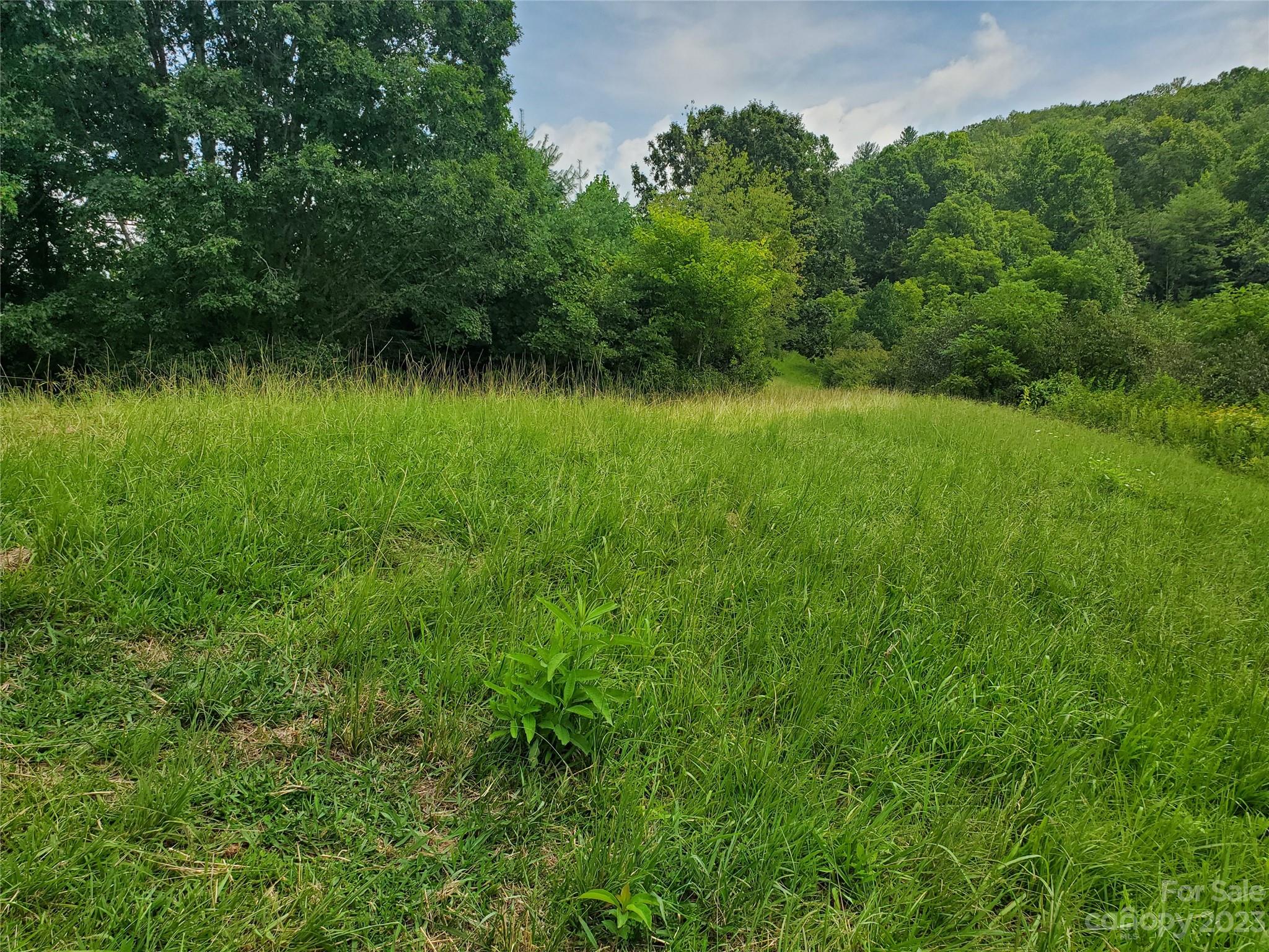 9999 Caney Frk Road Marshall, NC 28753 - Photo 15 of 42 a view of outdoor space with deck and yard