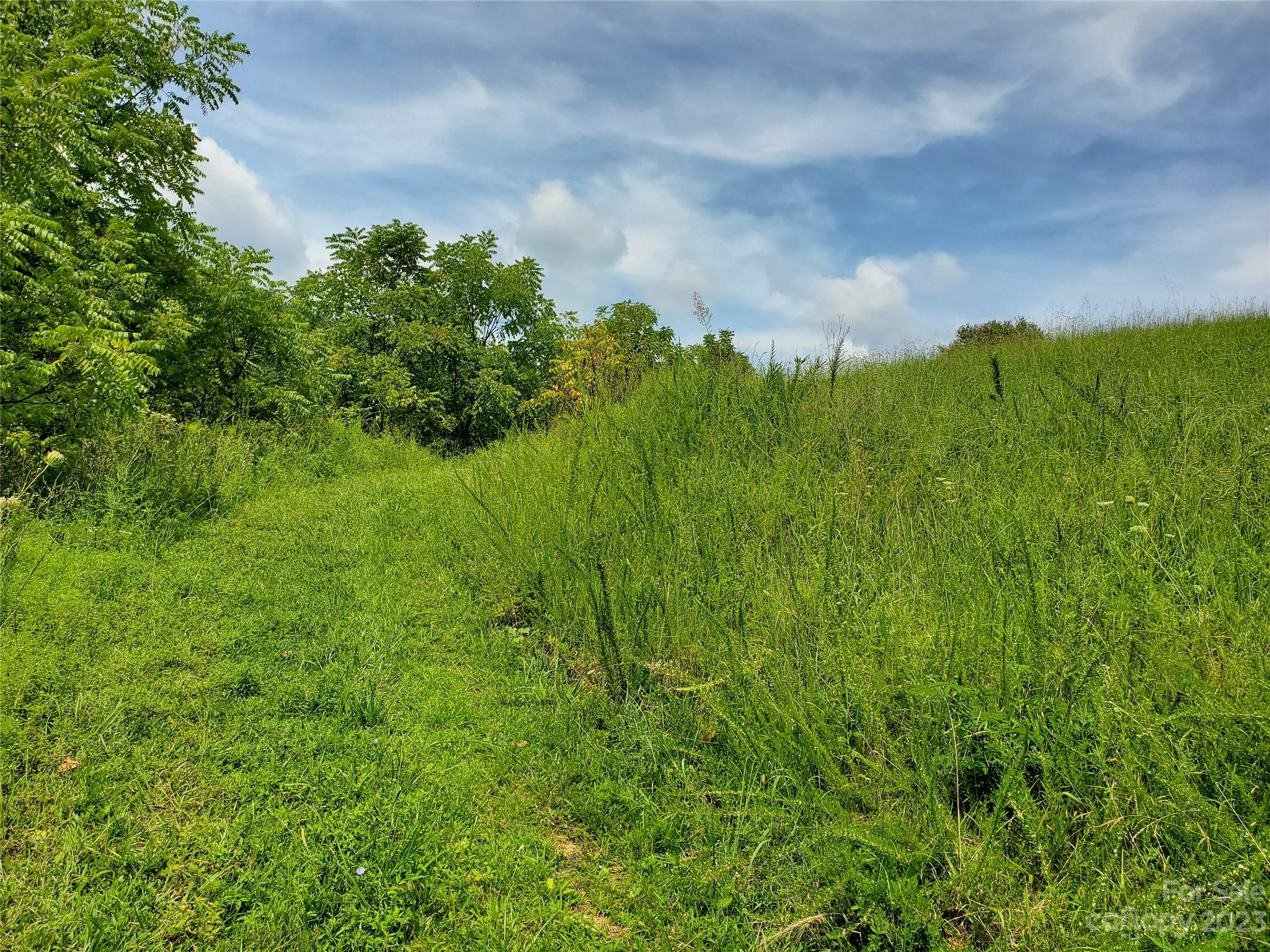 9999 Caney Frk Road Marshall, NC 28753 - Photo 16 of 42 a view of a lush green space