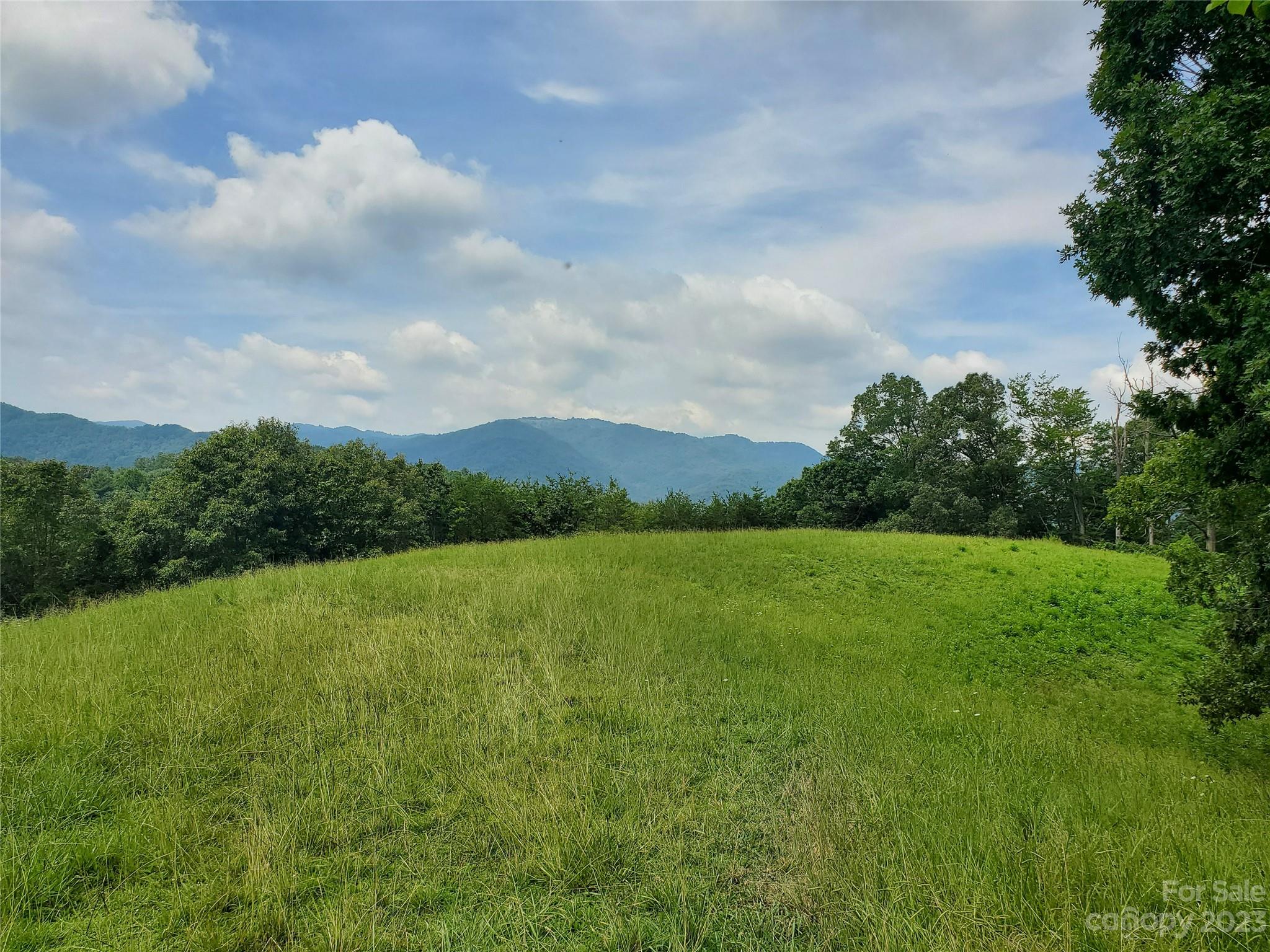 9999 Caney Frk Road Marshall, NC 28753 - Photo 17 of 42 a view of a green field with wooden fence