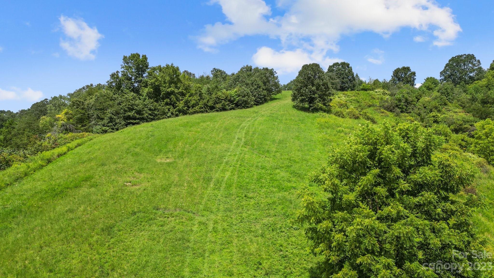 9999 Caney Frk Road Marshall, NC 28753 - Photo 2 of 42 a view of a big yard with plants and a garden