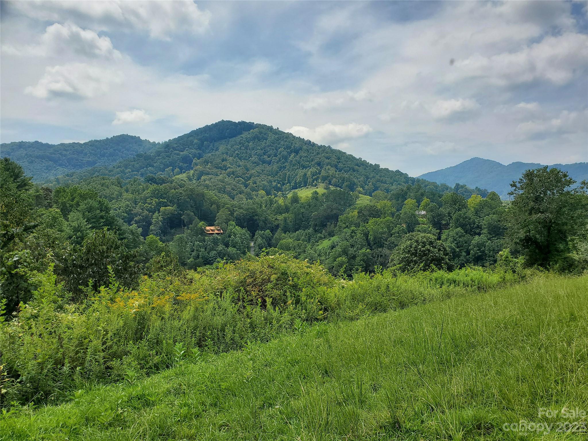 9999 Caney Frk Road Marshall, NC 28753 - Photo 21 of 42 a view of a mountain in the distance in a field