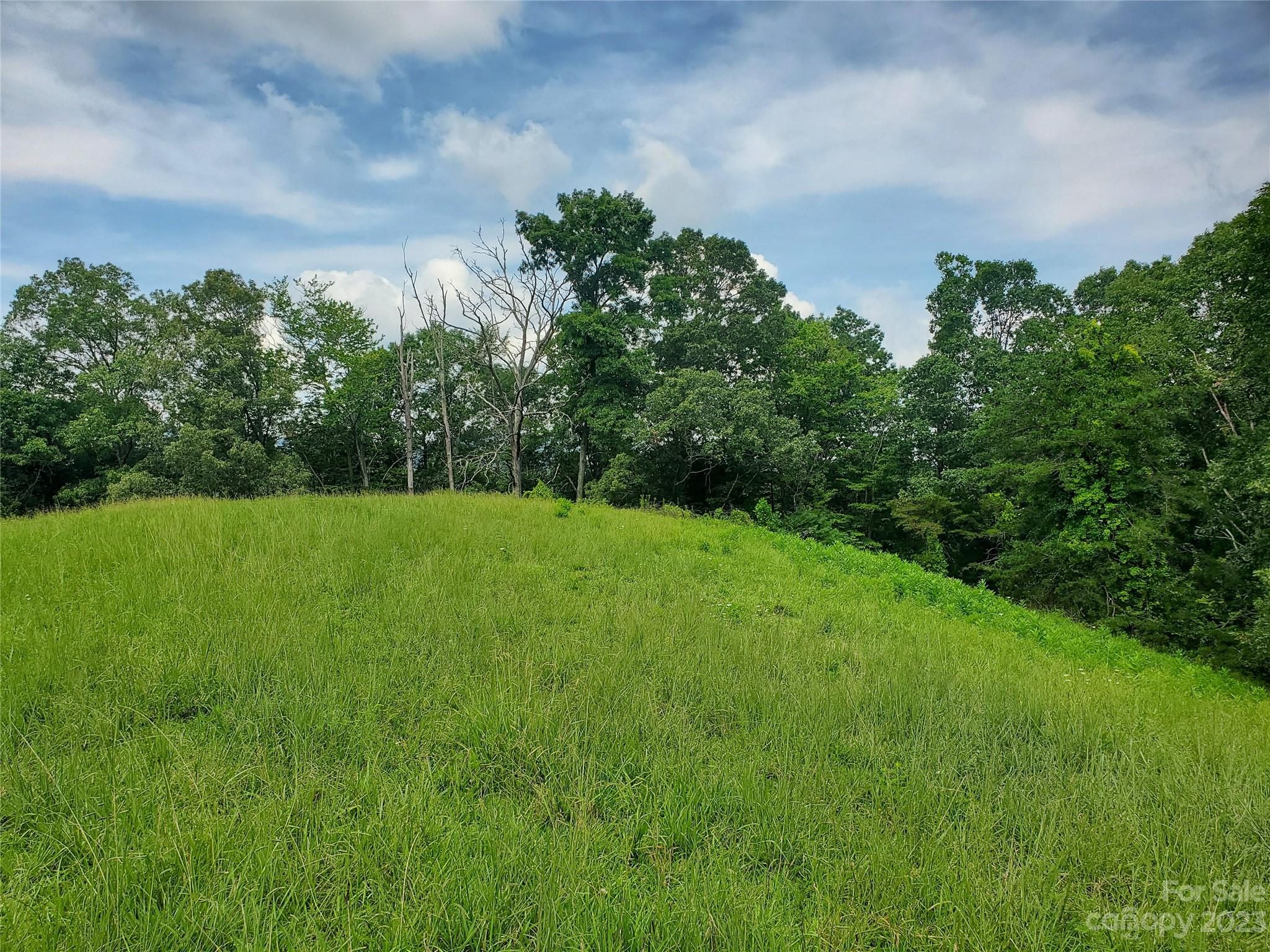 9999 Caney Frk Road Marshall, NC 28753 - Photo 22 of 42 a backyard of a house with lots of green space and mountain view in back