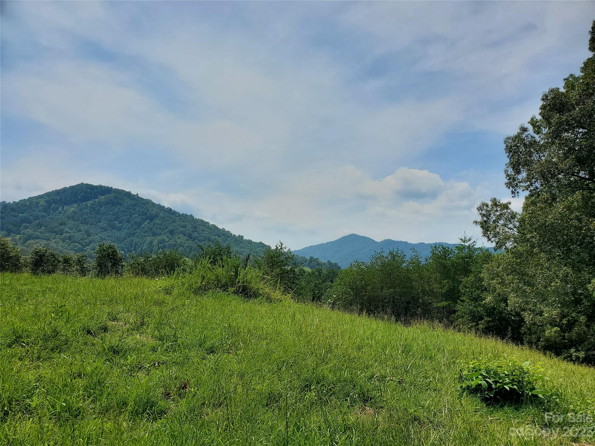 9999 Caney Frk Road Marshall, NC 28753 - Photo 24 of 42 a view of a green field with mountains in the background