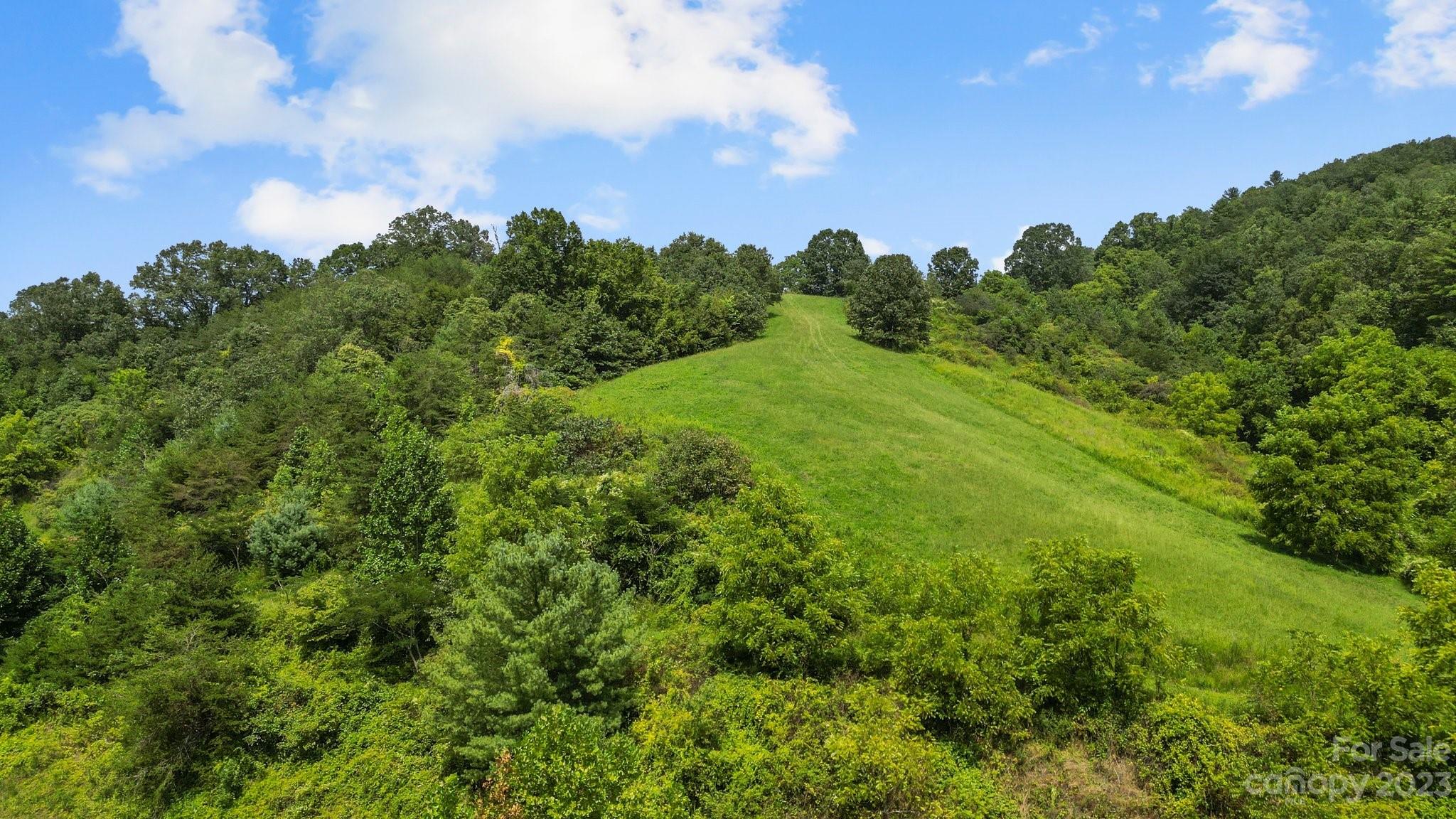 9999 Caney Frk Road Marshall, NC 28753 - Photo 3 of 42 a view of a city and lush green forest