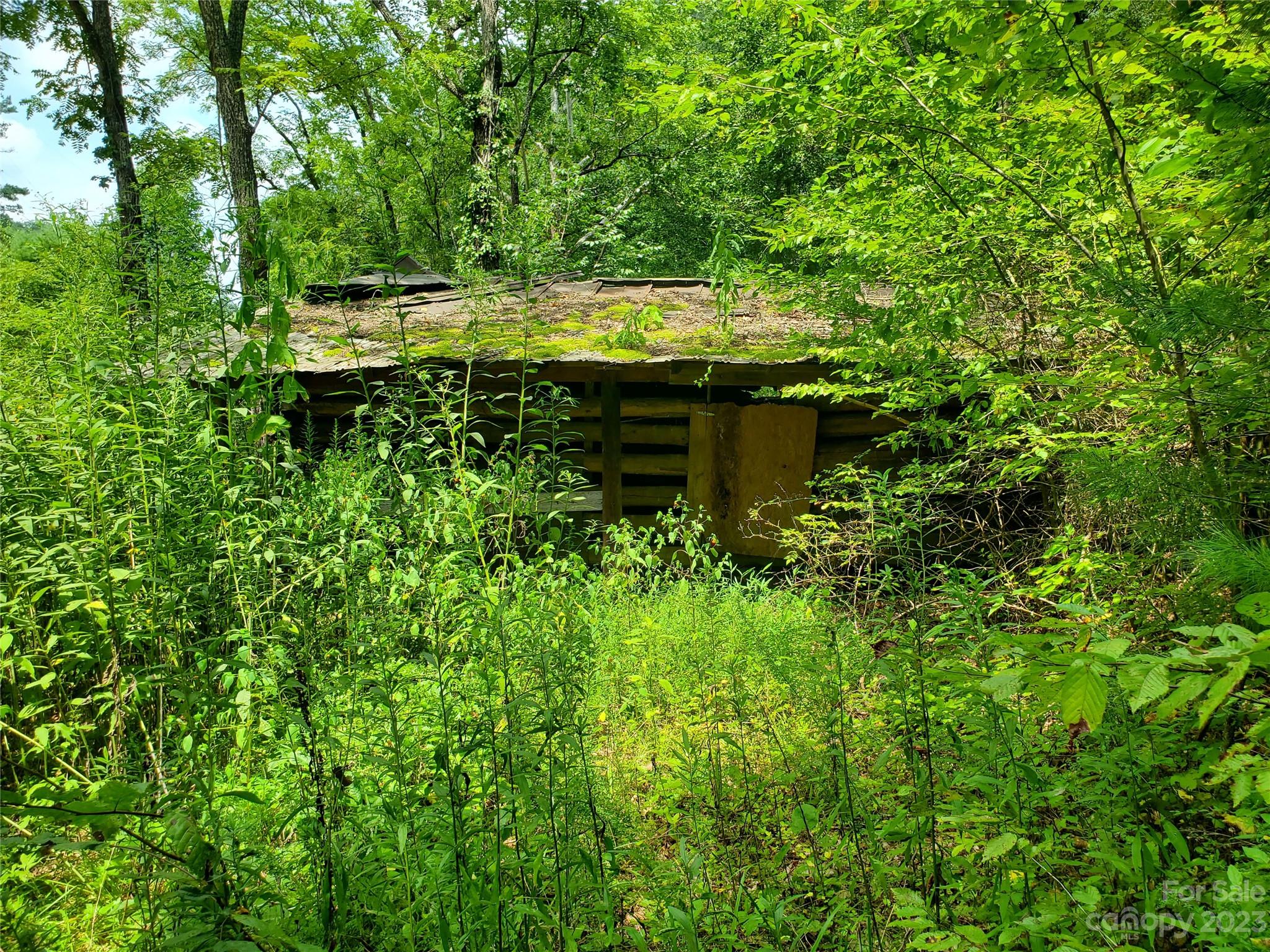 9999 Caney Frk Road Marshall, NC 28753 - Photo 32 of 42 a view of a garden