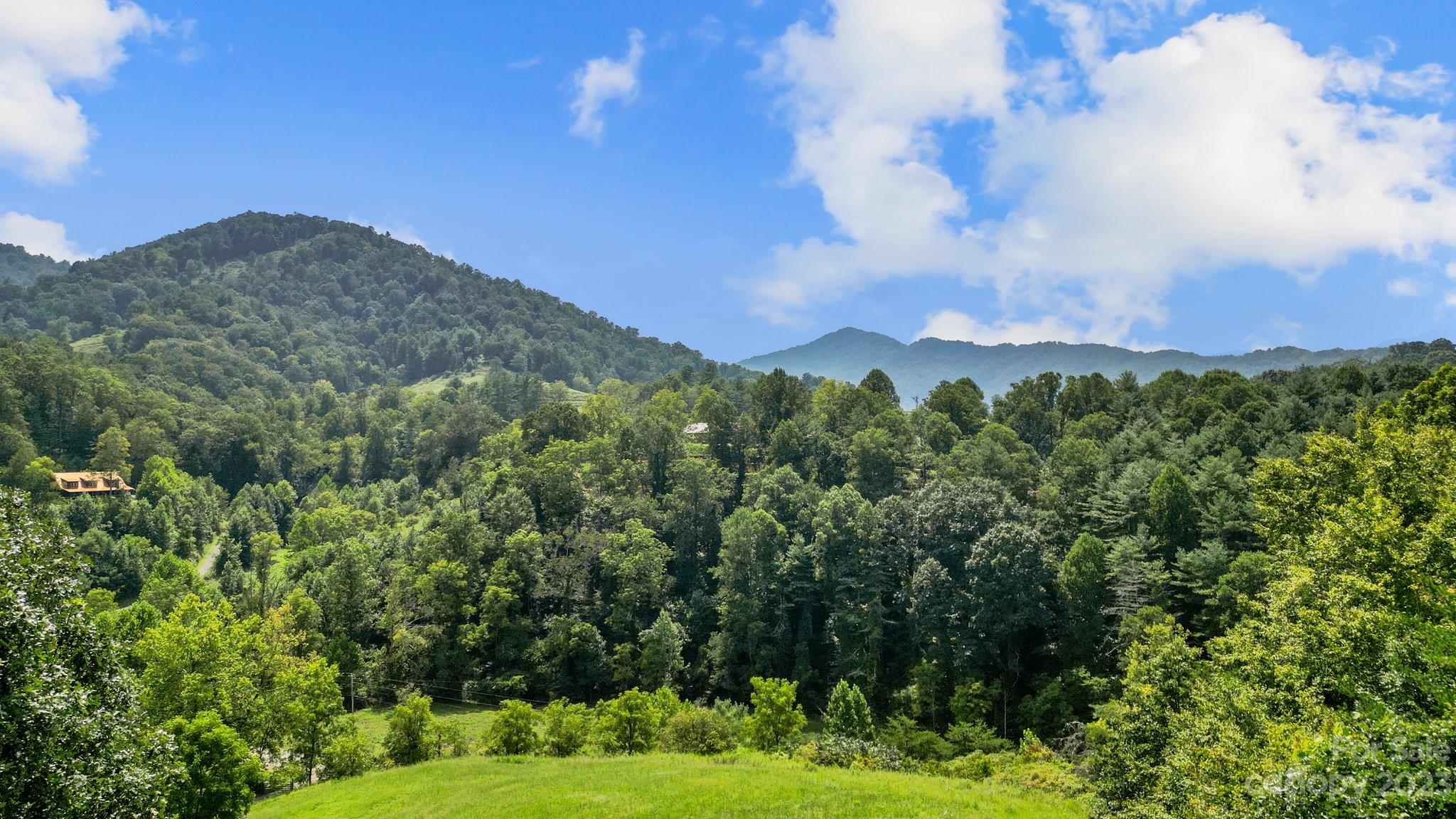 9999 Caney Frk Road Marshall, NC 28753 - Photo 35 of 42 a view of a city with lush green forest