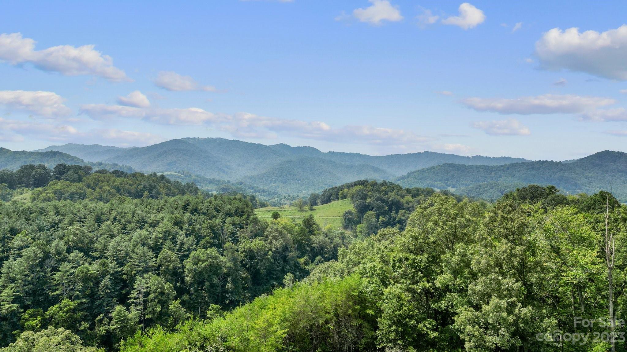9999 Caney Frk Road Marshall, NC 28753 - Photo 40 of 42 a view of a town with mountains in the background