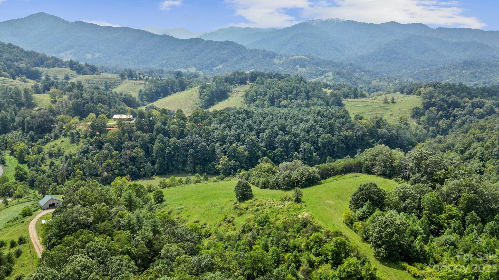 9999 Caney Frk Road Marshall, NC 28753 - Photo 41 of 42 an aerial view of green landscape with trees houses and mountain view