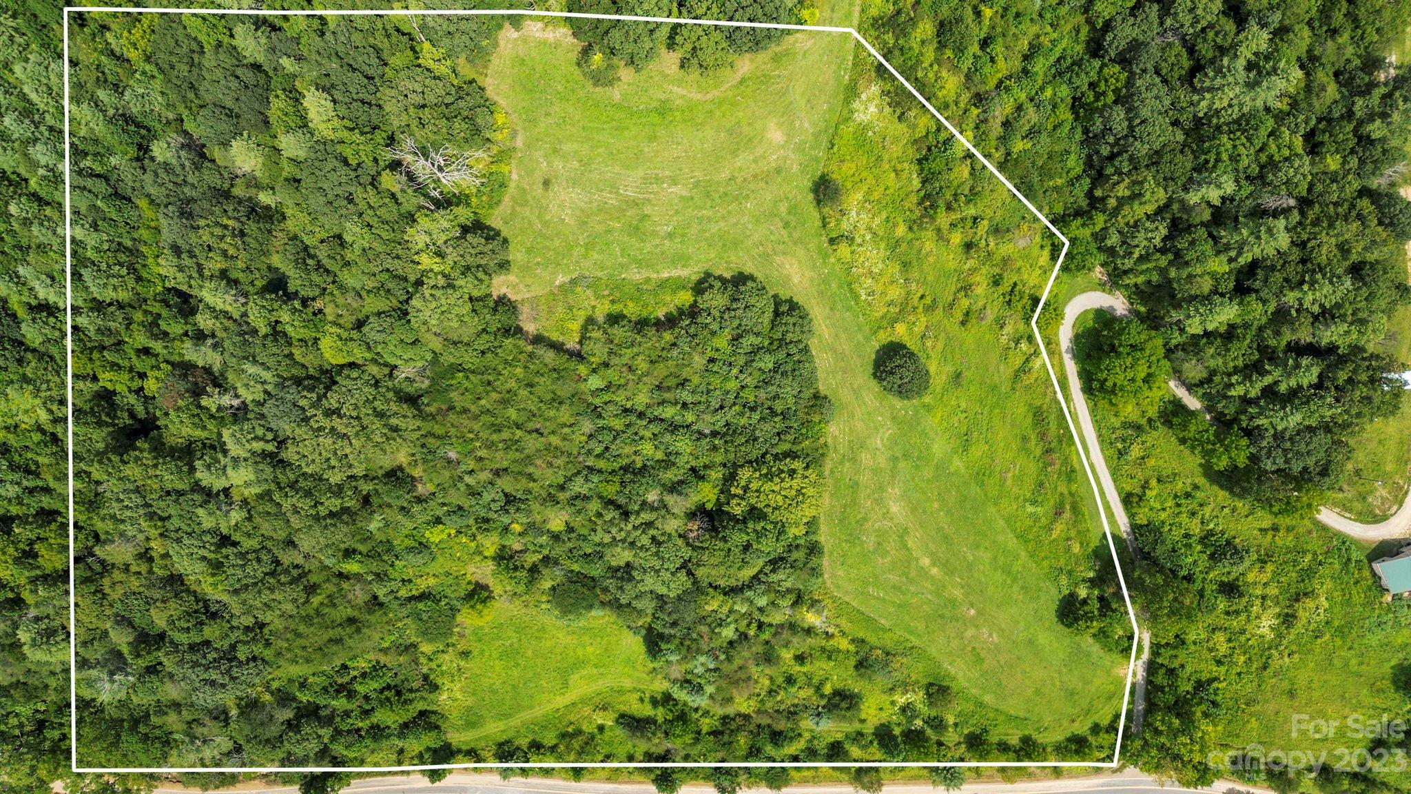 9999 Caney Frk Road Marshall, NC 28753 - Photo 5 of 42 a view of a garden