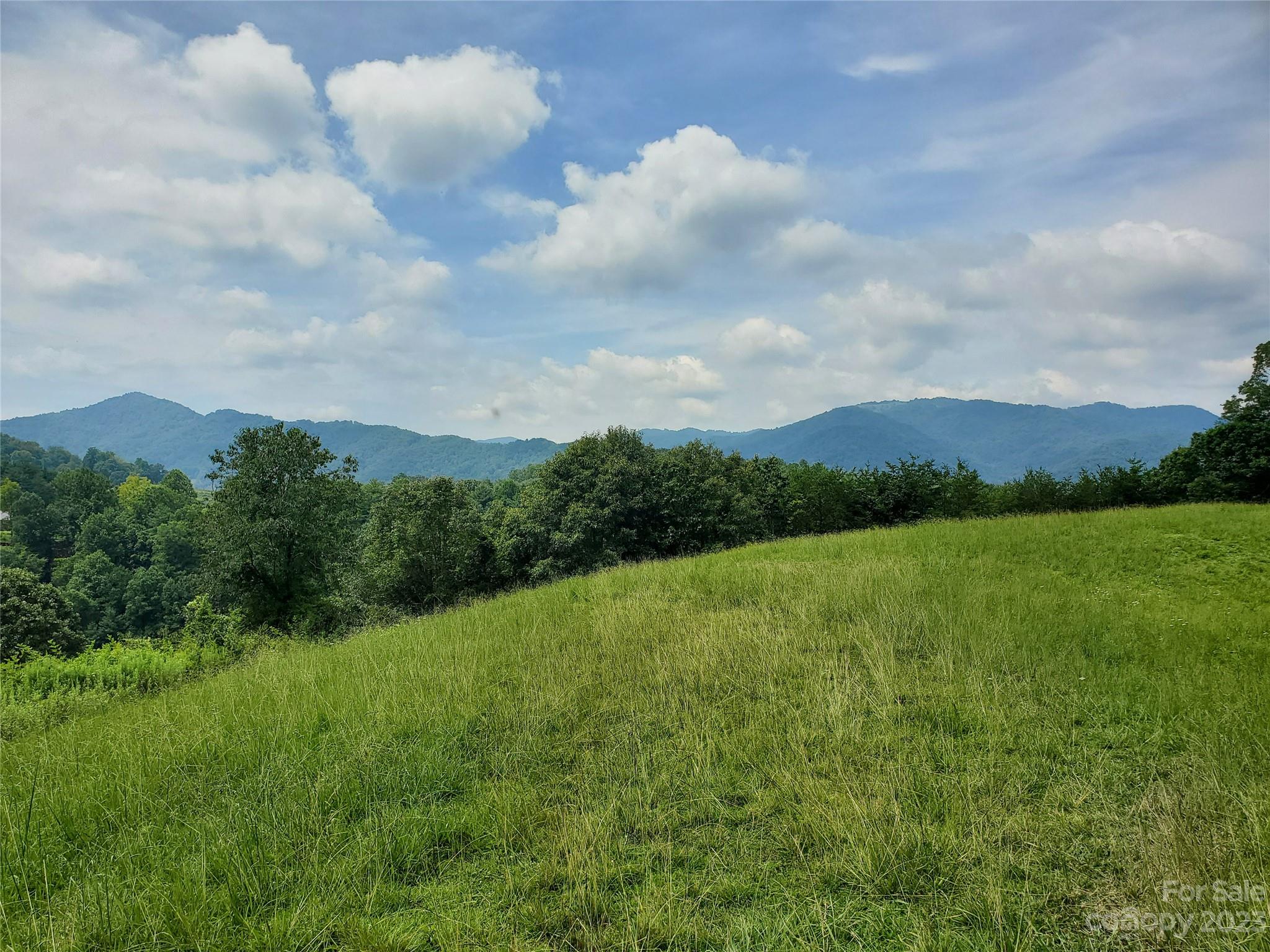 9999 Caney Frk Road Marshall, NC 28753 - Photo 10 of 42 a view of a green field with lots of green space