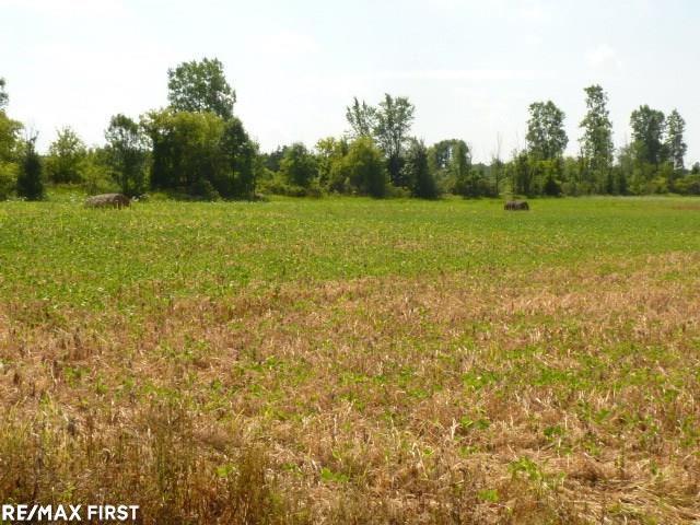 0 Belle River Road Allenton, MI 48002 - Photo 8 of 20