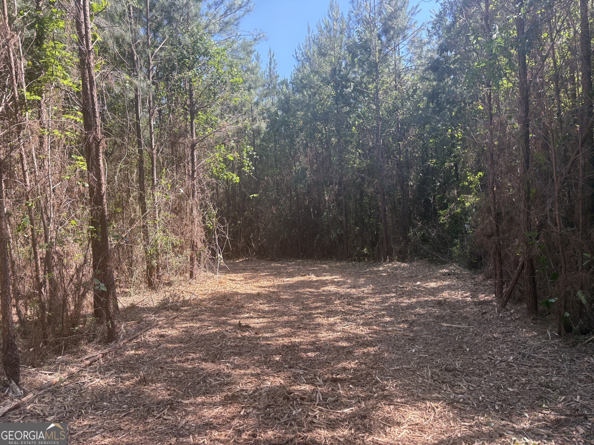 L6 North Indian Trail Road Sandersville, GA 31082 - Photo 2 of 8