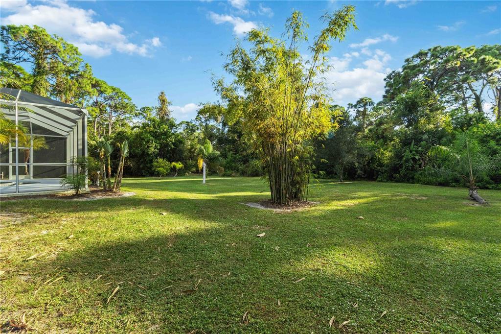 296 Pine Ranch Trail Osprey, FL 34229 - Photo 61 of 65