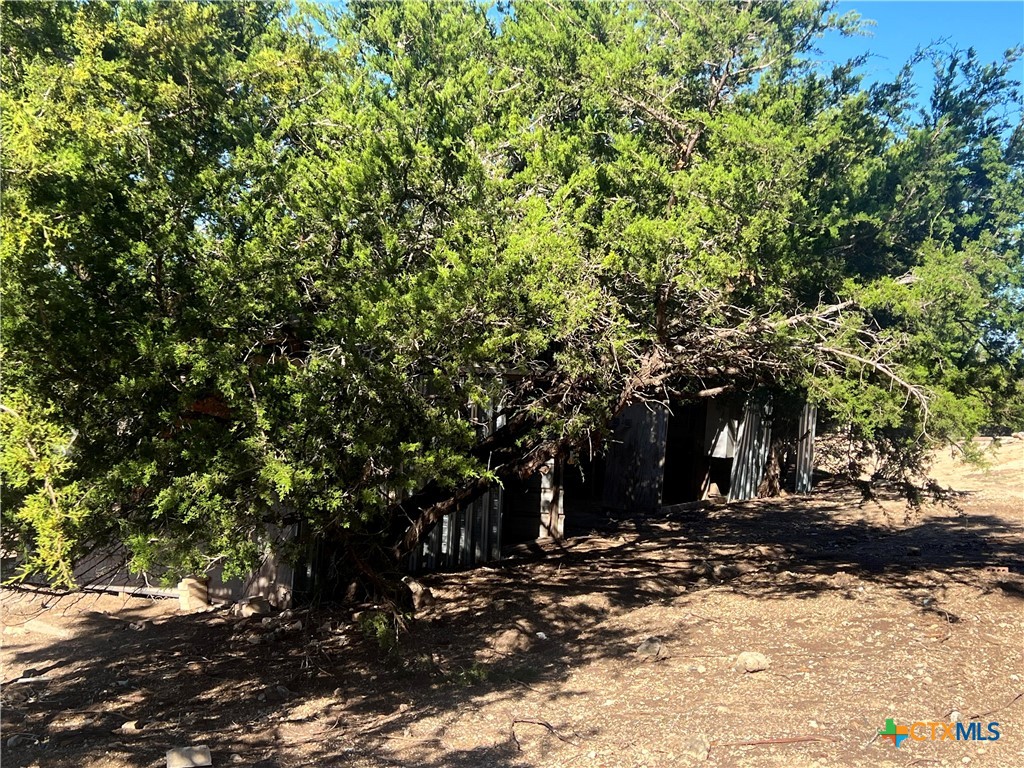 20239 Stillman Valley Road Florence, TX 76527 - Photo 22 of 35 a view of outdoor space with trees