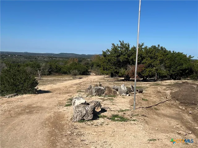 a view of a yard with trees