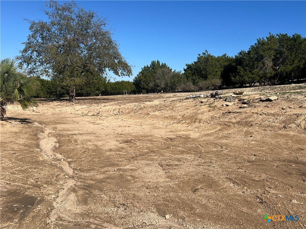 20239 Stillman Valley Road Florence, TX 76527 - Photo 29 of 35 a view of a yard with trees