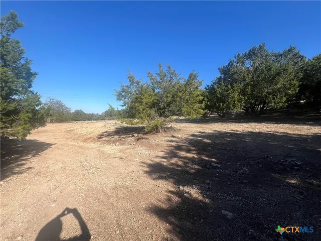a view of yard with tree