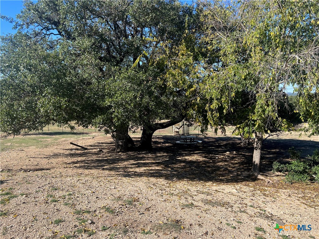 20239 Stillman Valley Road Florence, TX 76527 - Photo 31 of 35 a view of yard with tree