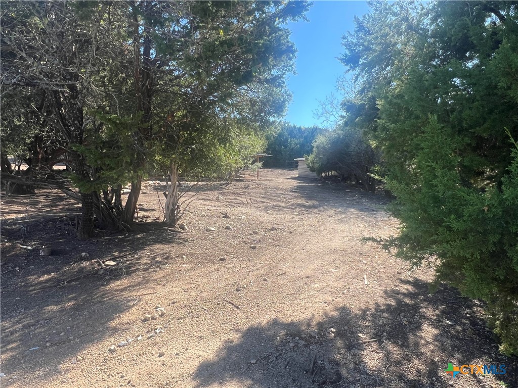 20239 Stillman Valley Road Florence, TX 76527 - Photo 33 of 35 a view of a dirt road with large trees
